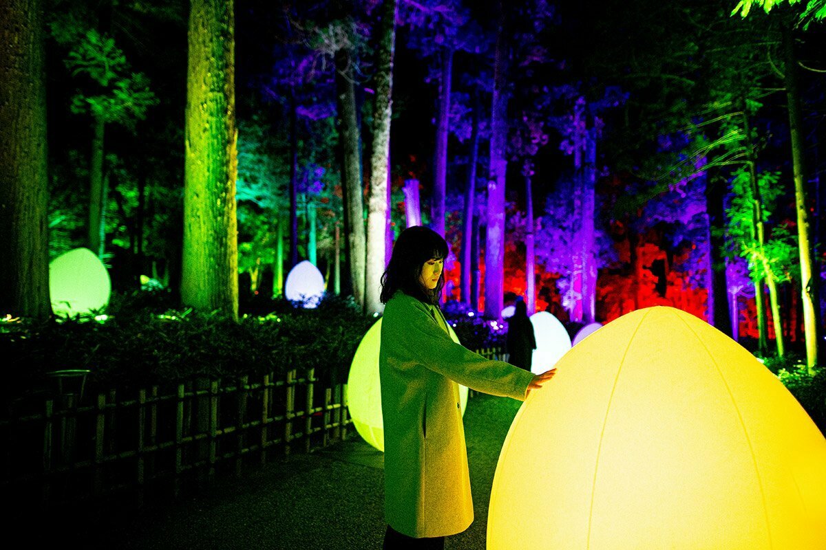 自立しつつも呼応する生命と呼応する大杉森 / Autonomous Resonating Life and Resonating Giant Cedar Forest
teamLab, 2021, Interactive Digital Installation, Endless, Sound: Hideaki Takahashi